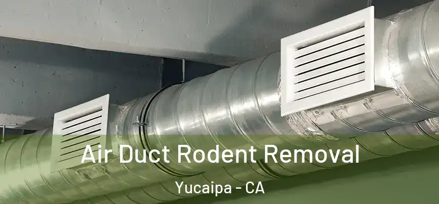 Air Duct Rodent Removal Yucaipa - CA
