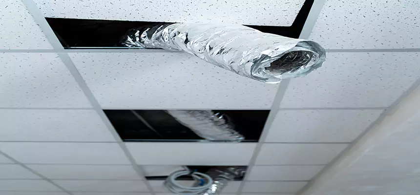 Affordable HVAC Sanitizing After Pest Removal in Yucaipa