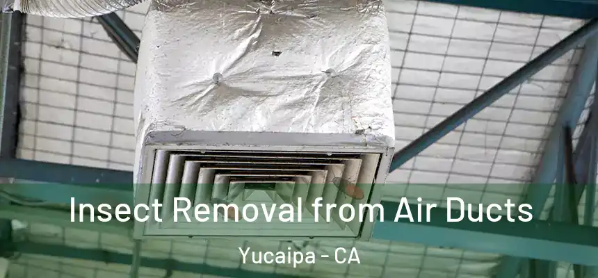 Insect Removal from Air Ducts Yucaipa - CA
