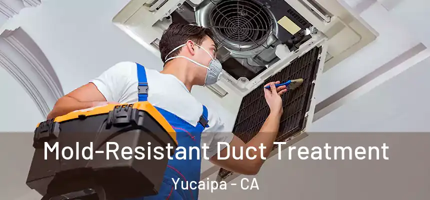  Mold-Resistant Duct Treatment Yucaipa - CA