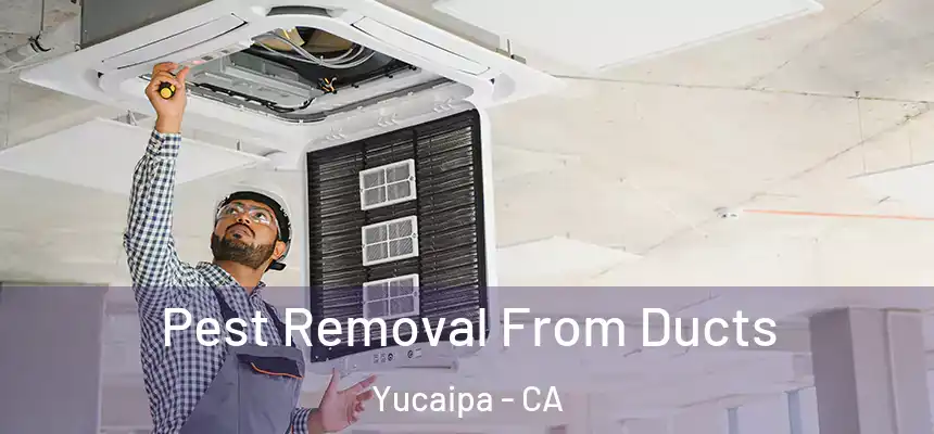  Pest Removal From Ducts Yucaipa - CA