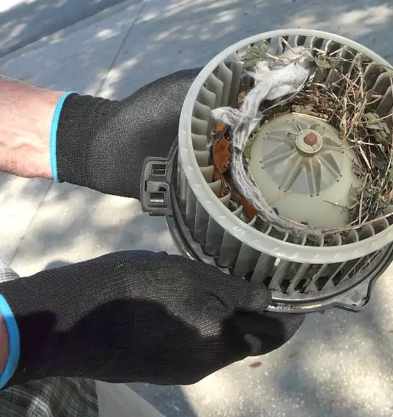 About Air Duct Rat Removal in Yucaipa, CA